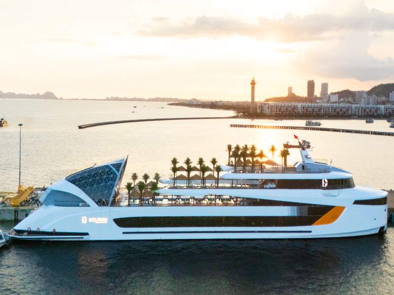 Dolphin Cruise - Halong Bay Tour 1 Day