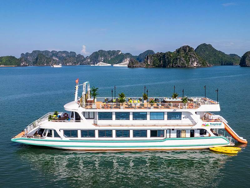 Tropical Cruise - Halong Bay Tour 1 Day