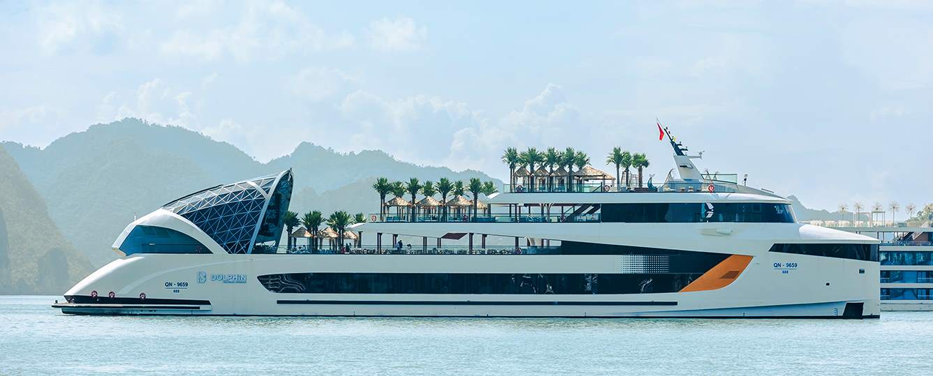 Dolphin Cruise - Halong Bay Tour 1 Day